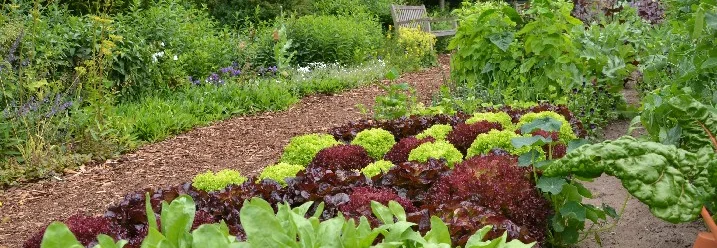 Gemüsebeete in einem Permakulturgarten